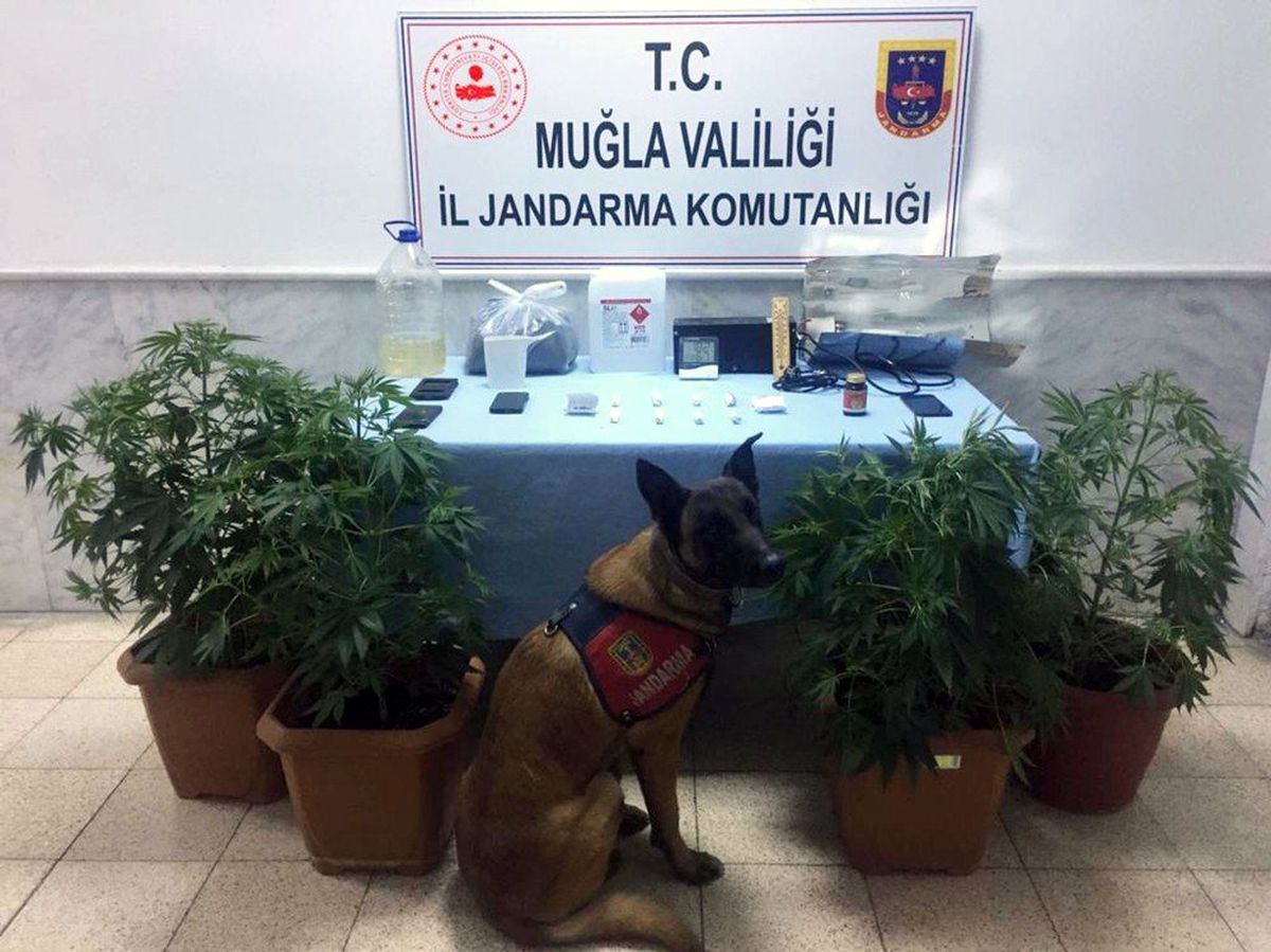 Jandarma\'nın \'Kaptan\'ından uyuşturucuya geçit yok