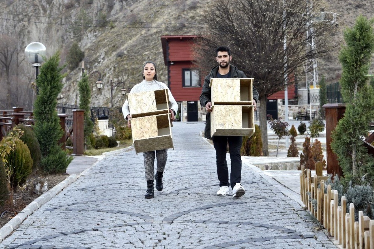 "Kediler üşümesin" diye kedi evleri yapıp tüm şehri donattılar