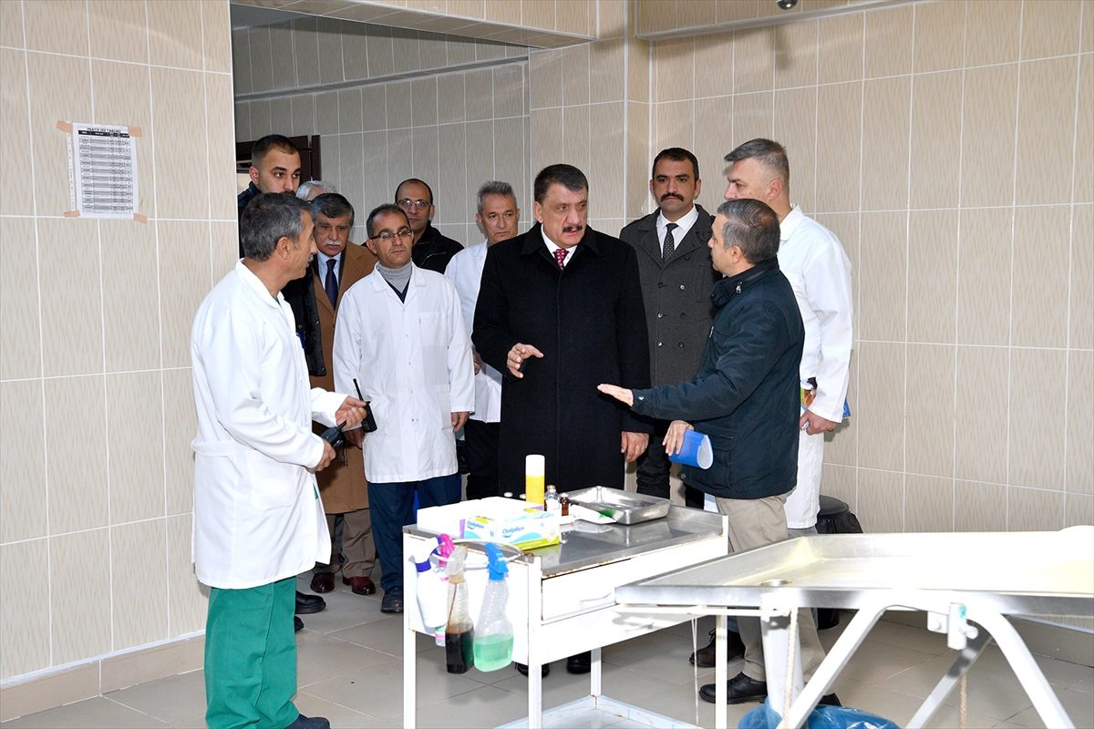 Malatya\'da, 335 sokak hayvanı sahiplendirildi