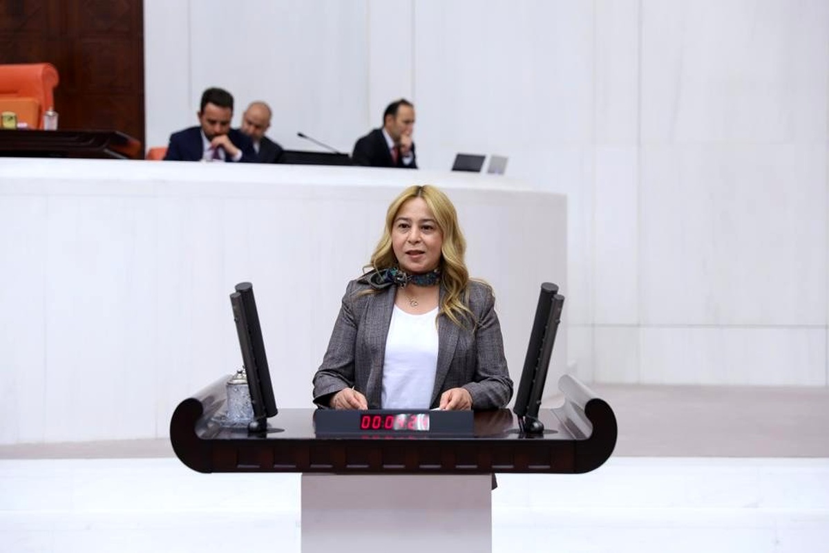 MHP\'li Esin Kara\'dan Bakan Pakdemirli\'ye soru önergesi