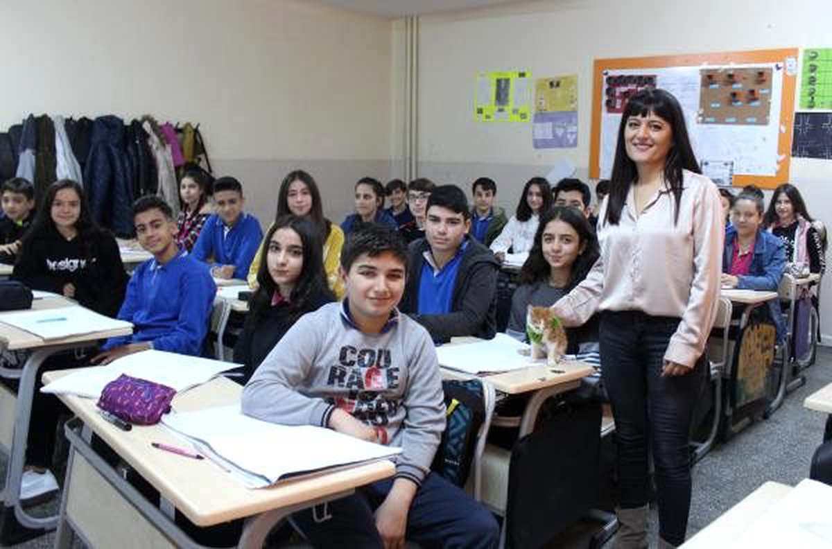 Resim öğretmeni, öğrencilerin sokakta bulduğu kedileri sahiplendiriyor