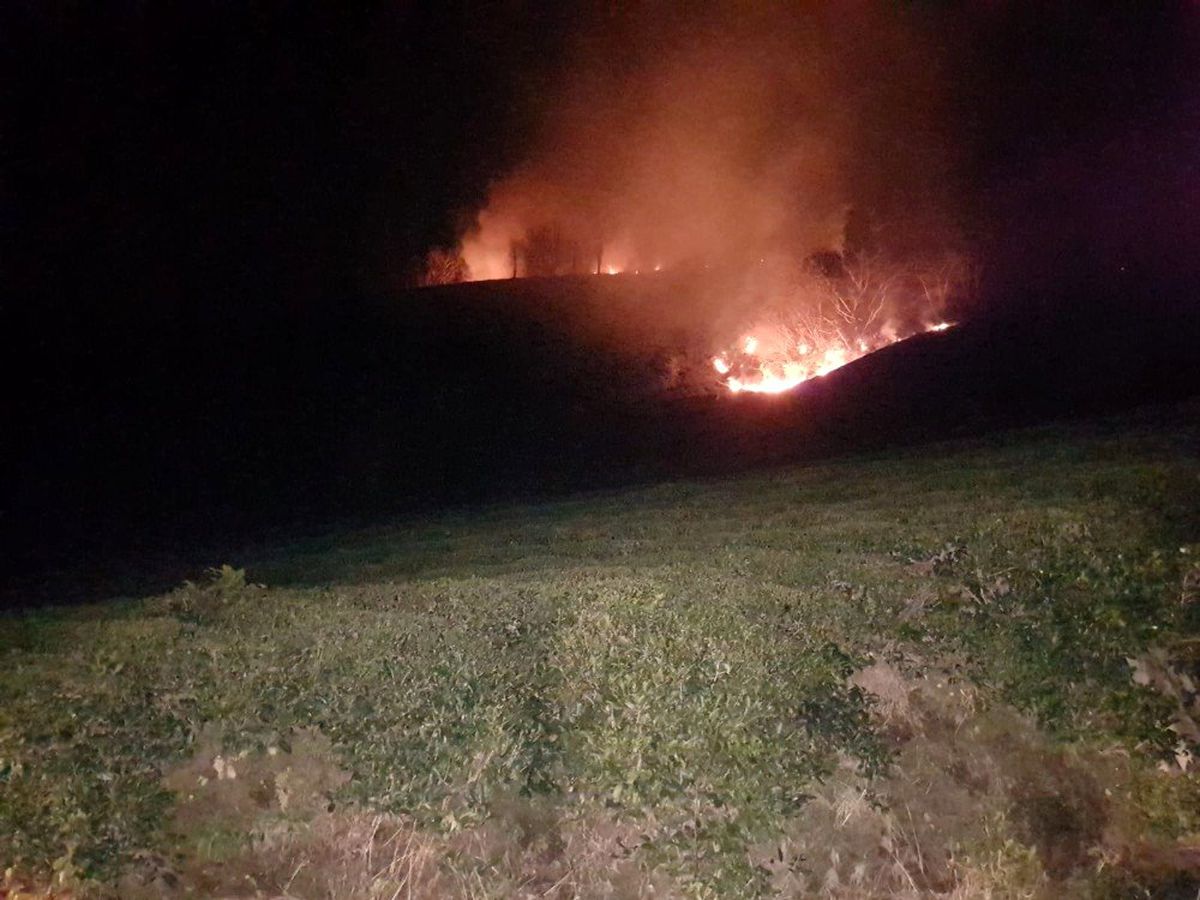 Rize Ayane Dağı\'nda örtü yangını