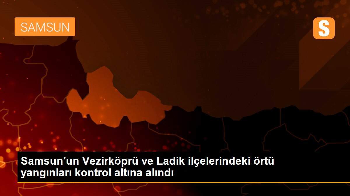 Samsun\'un Vezirköprü ve Ladik ilçelerindeki örtü yangınları kontrol altına alındı