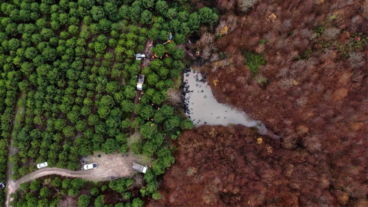 Şile\'de ormandaki lastikleri kaldırma çalışmaları havadan görüntülendi