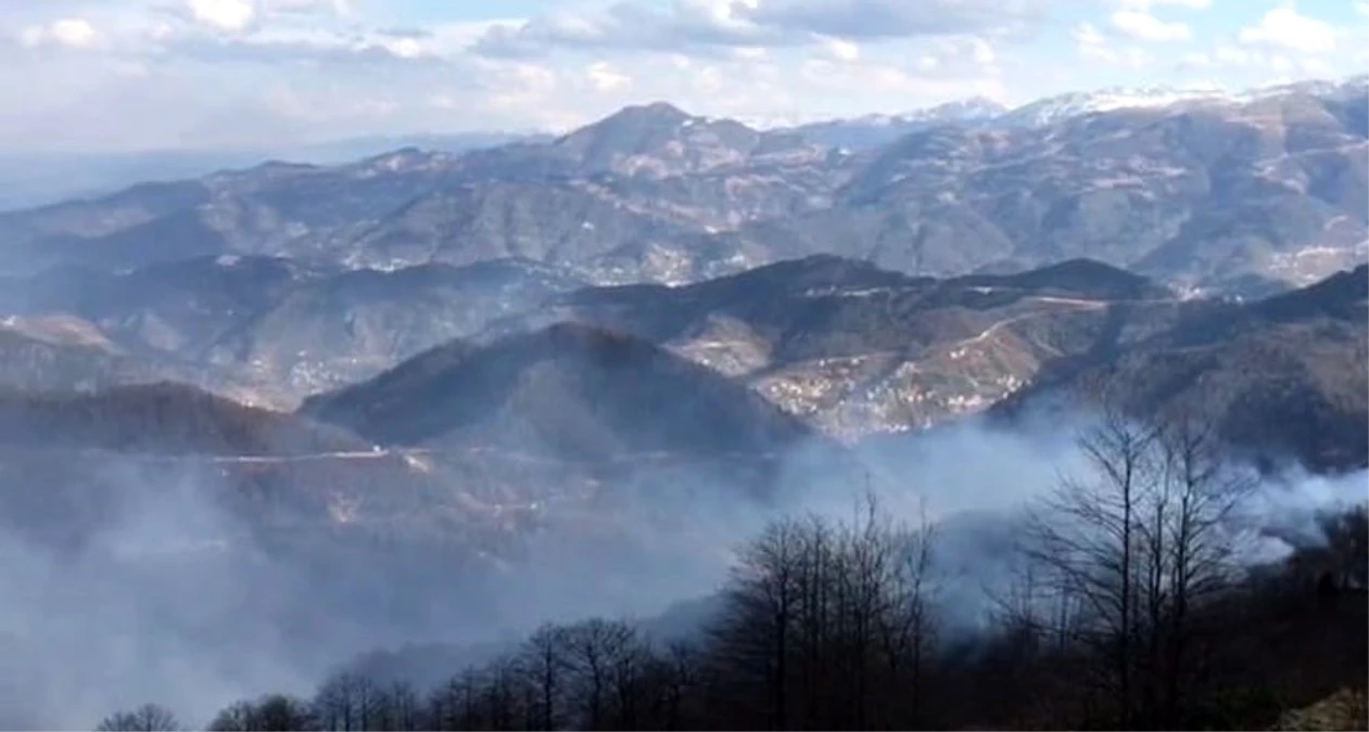 Trabzon\'daki örtü yangınları devam ediyor