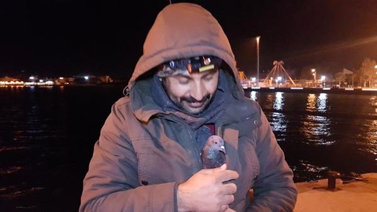Balıkçı, üşüyen güvercini parkasında ısıttı