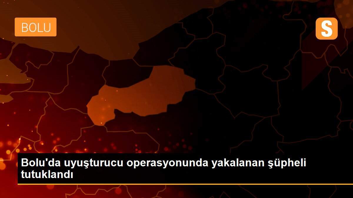 Bolu\'da uyuşturucu operasyonunda yakalanan şüpheli tutuklandı