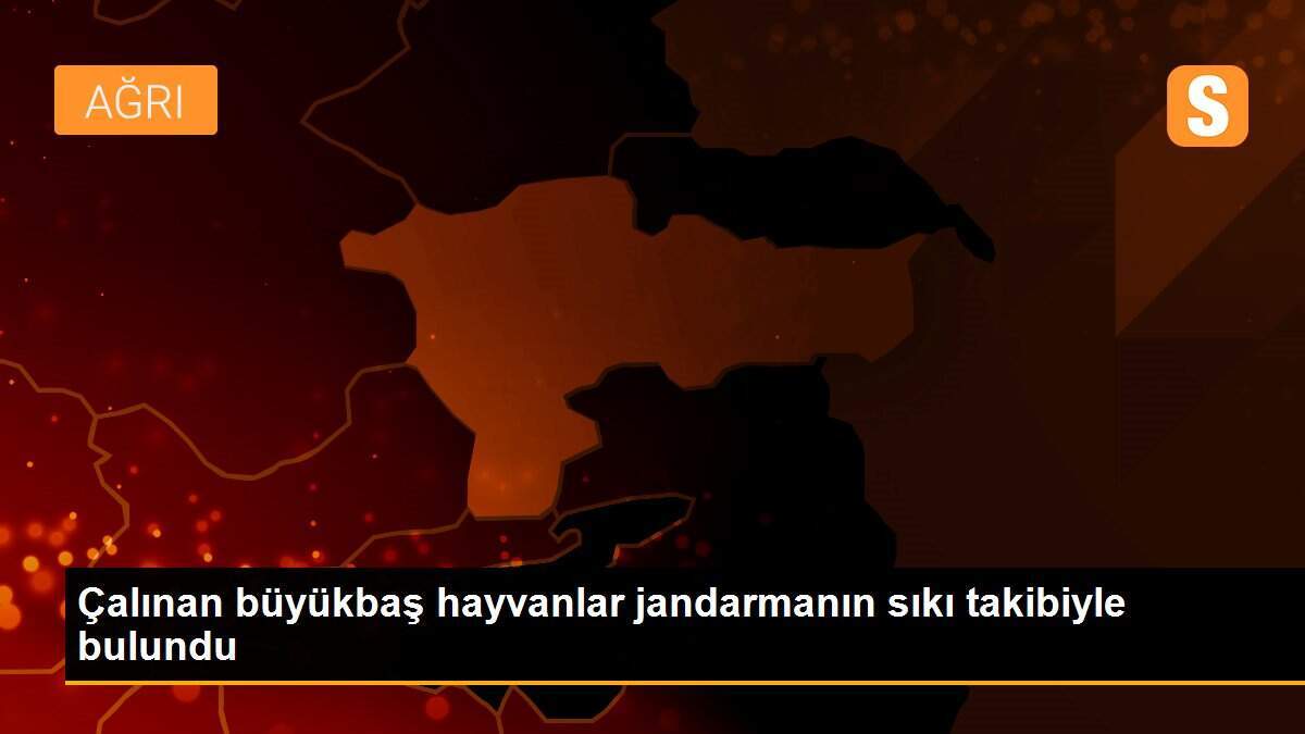 Çalınan büyükbaş hayvanlar jandarmanın sıkı takibiyle bulundu