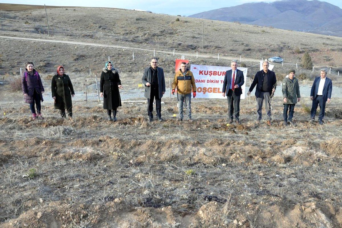 Gümüşhane\'nin ilk kapama kuşburnu bahçesi Kelkit\'e kuruldu