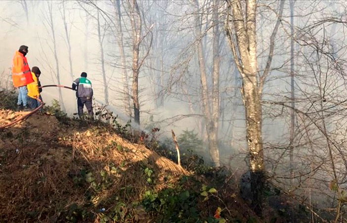Karadeniz Bölgesi\'ndeki tüm yangınlar kontrol altına alındı