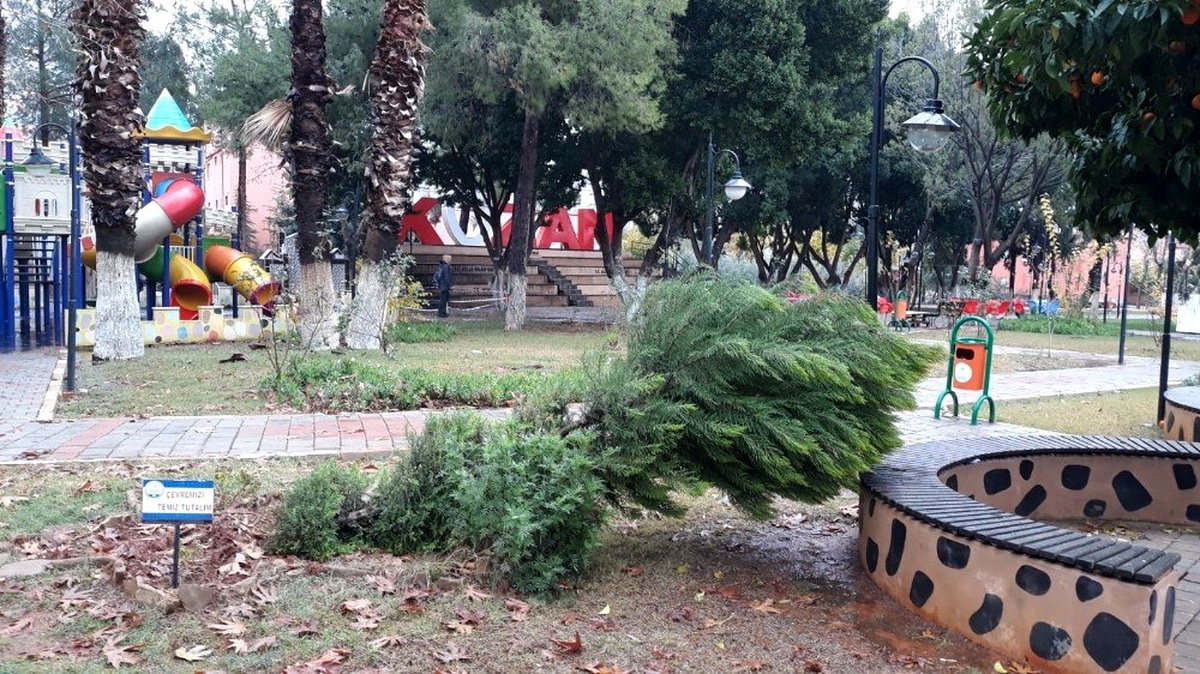 Kozan\'da şiddetli yağmur ve fırtına ağaçları devirdi
