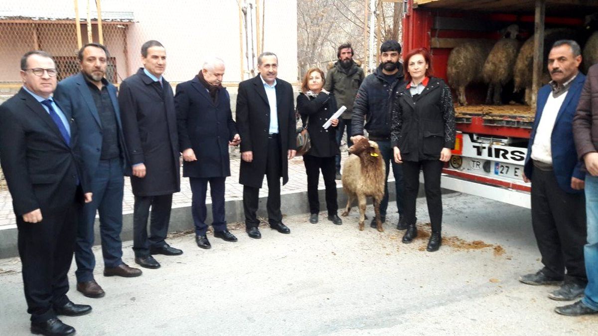 Milletvekili Arvas, "Küçükbaş hayvancılık Van için büyük bir sektördür"