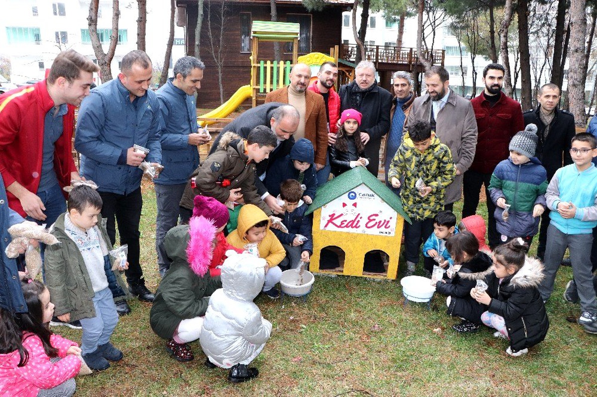 Postacılar artık gittiği her sokağa mama bırakacak