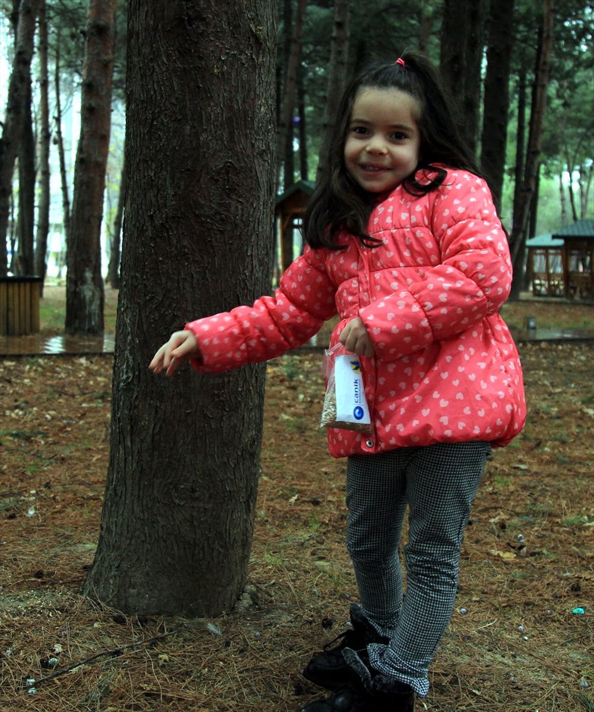 Postacılar hem posta hem de sokak hayvanlarına mama dağıtacak