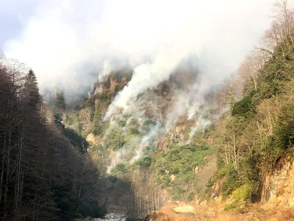 Rize\'nin Ardeşen ilçesindeki örtü yangını 3 gündür aralıksız devam ediyor