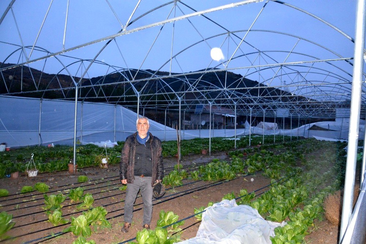 Sağanak ve fırtına seraları yıktı