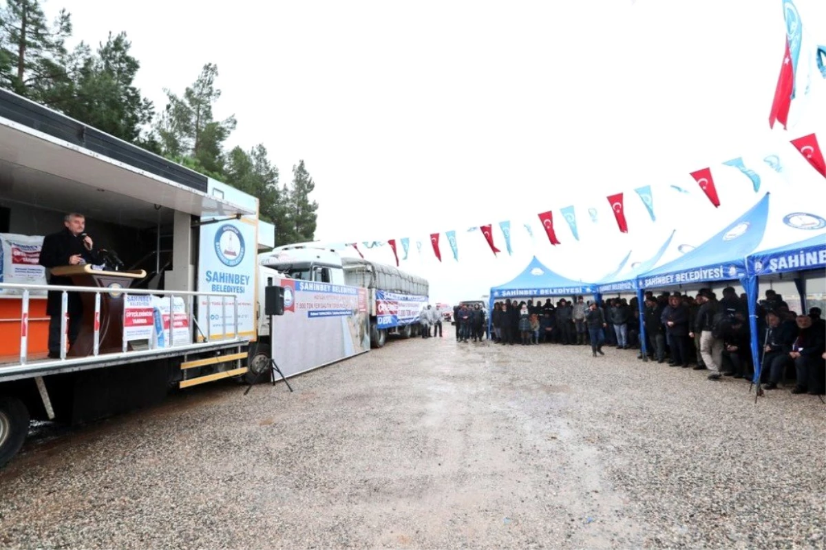 Şahinbey Belediyesinden hayvan yetiştiricilerine 7 bin ton yem desteği