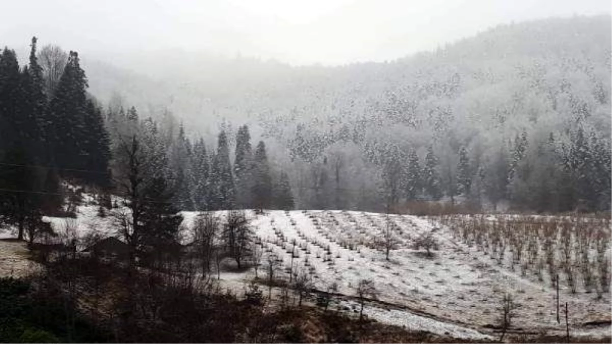 Sakarya\'nın yüksek kesimleri beyaza büründü