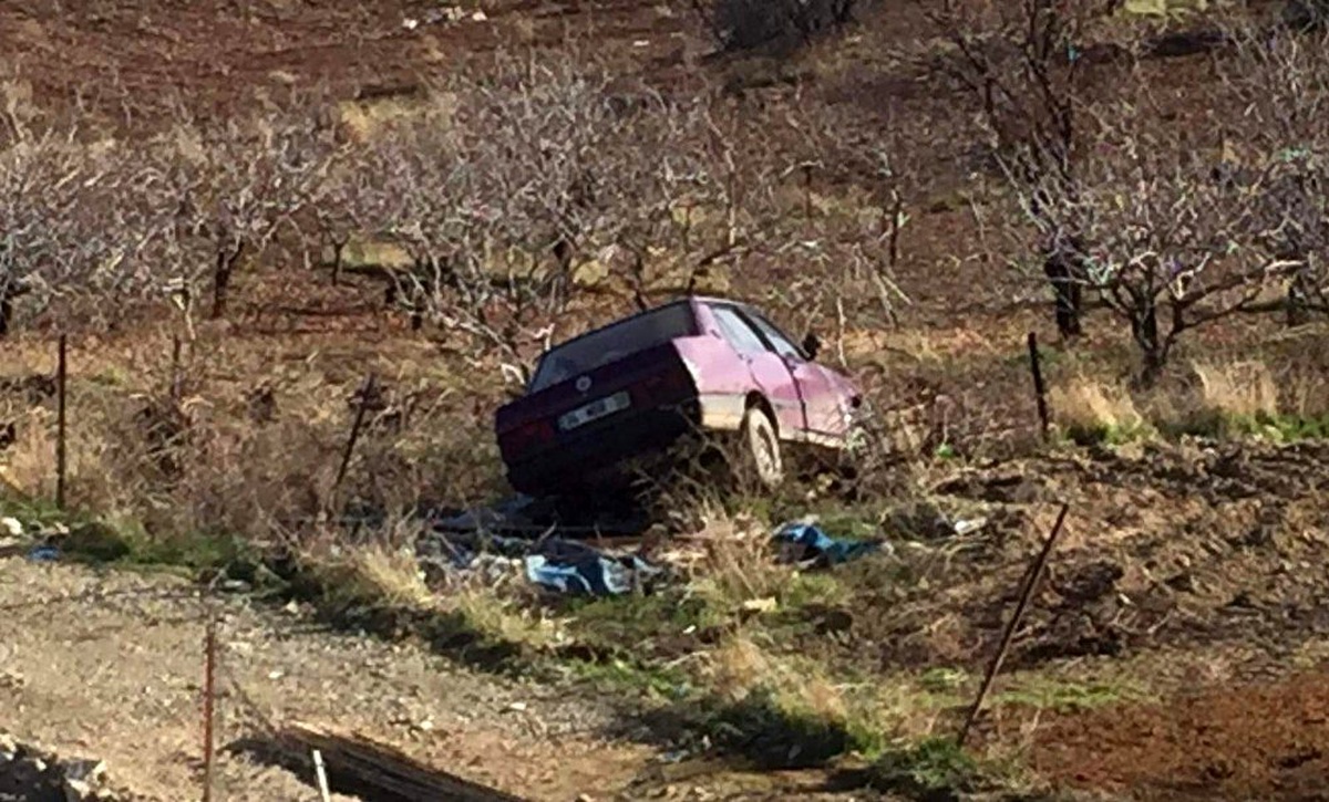 Siirt\'te freni tutmayan araç fıstık bahçesindeki tellere çarparak durabildi