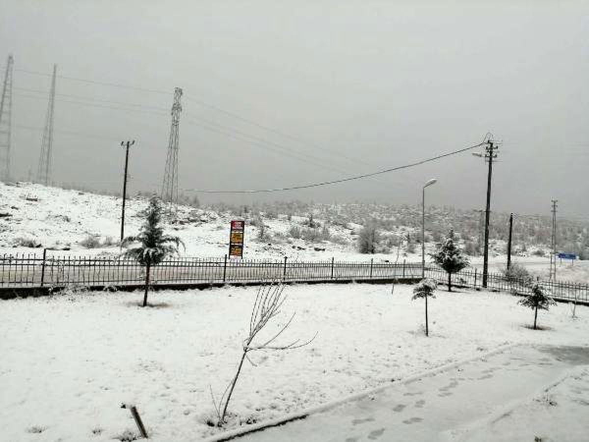 Sincik\'te kar yağışı
