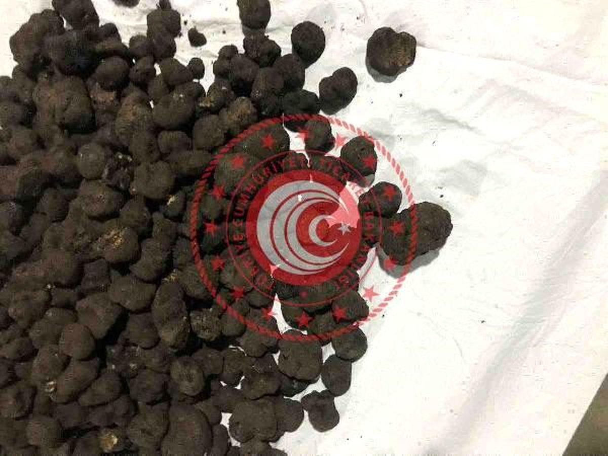 Trüf mantarına yine alıcı çıkmadı