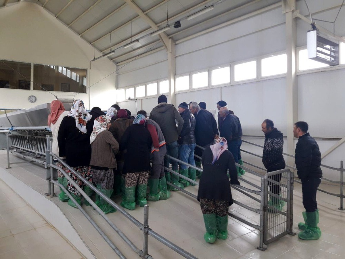 Demirci\'de sürü yönetimi elemanı kursuna yoğun ilgi