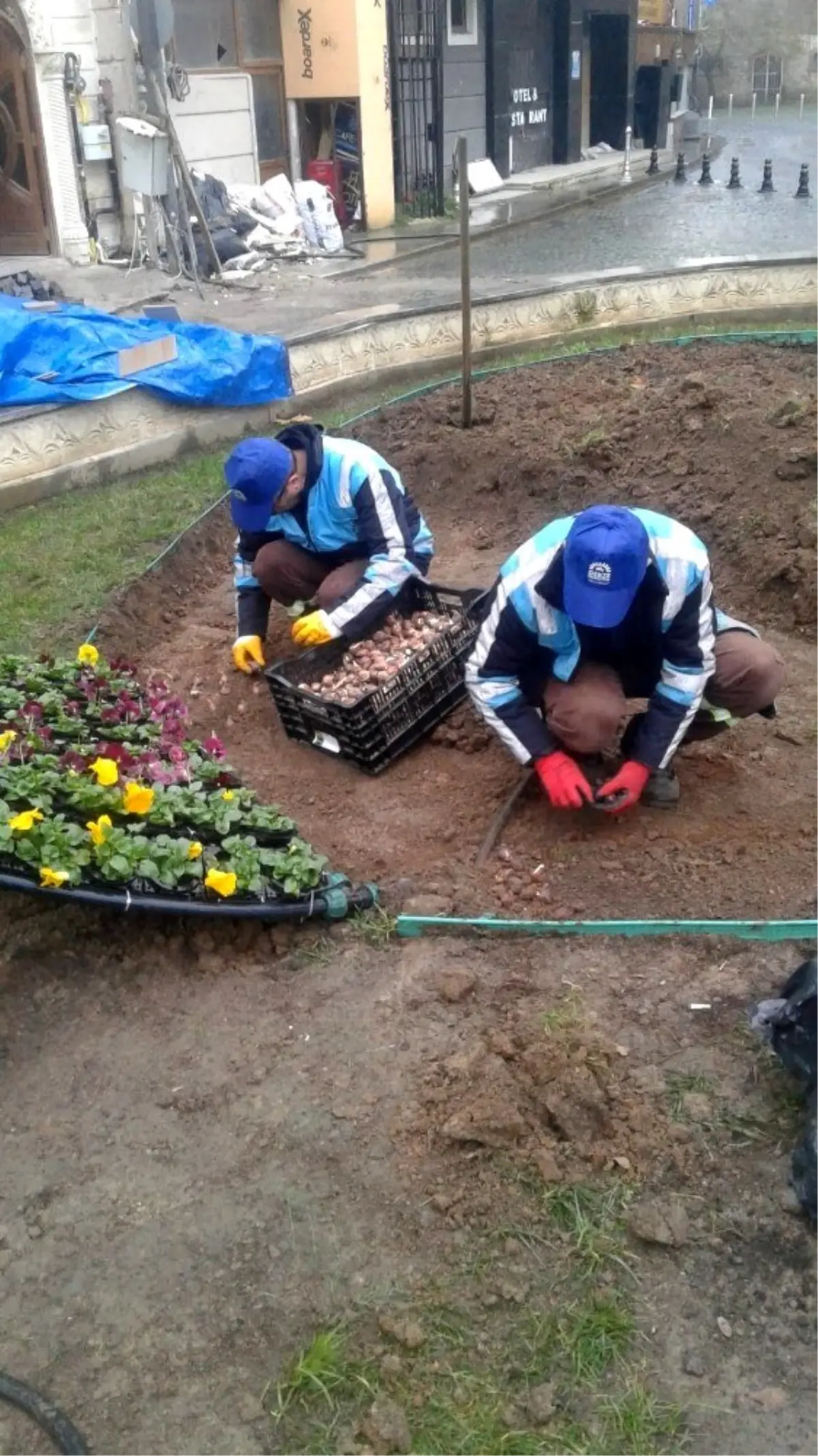 Eskihisara dekoratif peyzaj düzenlemesi