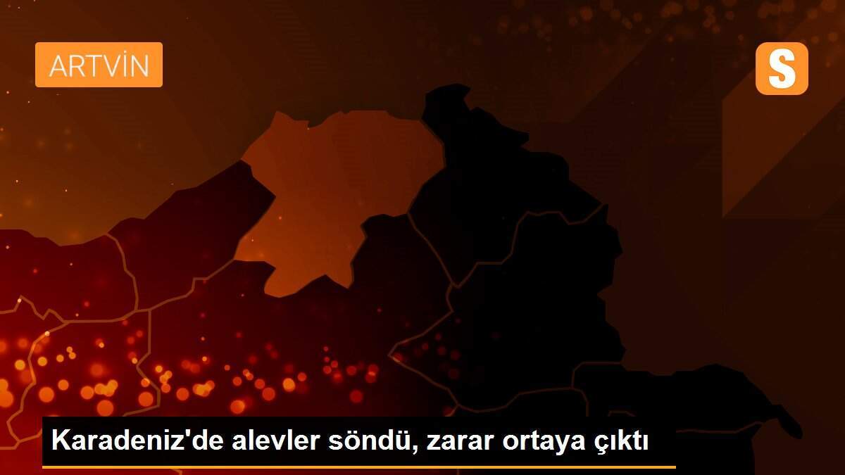 Karadeniz\'de alevler söndü, zarar ortaya çıktı
