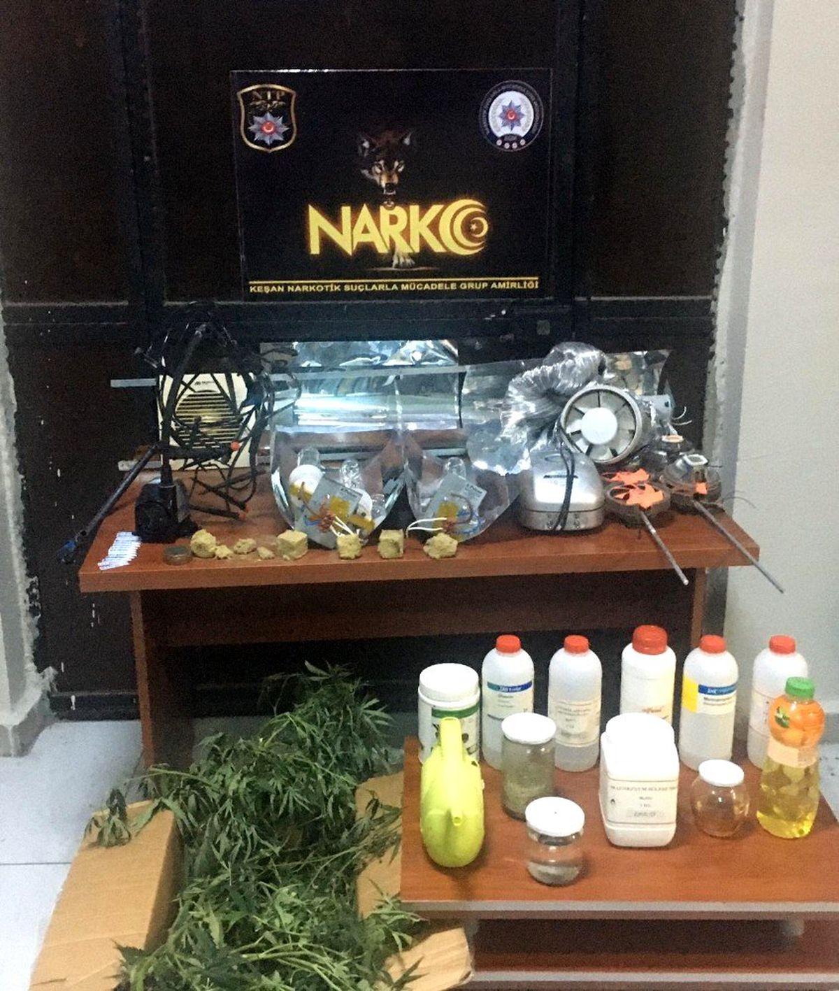 Köy evinde 40 kök kenevir ele geçirildi, şüpheli şahıs tutuklandı