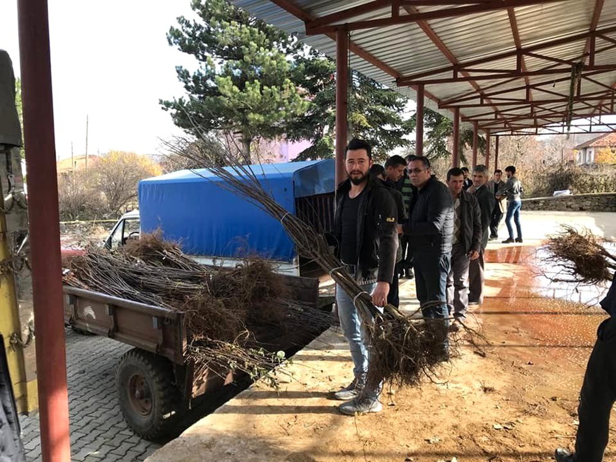 Kütahya İl Özel İdaresi\'nden ayva fidanı desteği