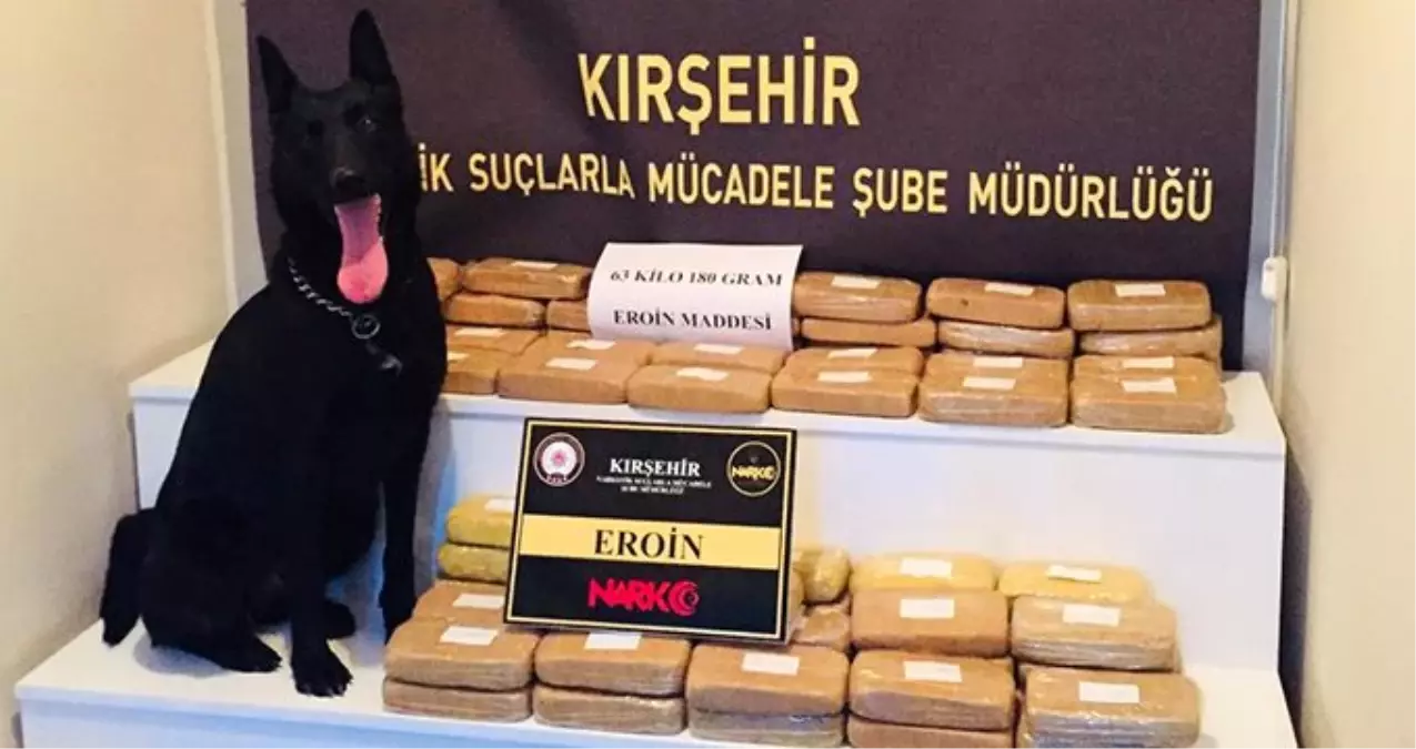 Pul biberle gizlenen eroini narkotik köpeği buldu