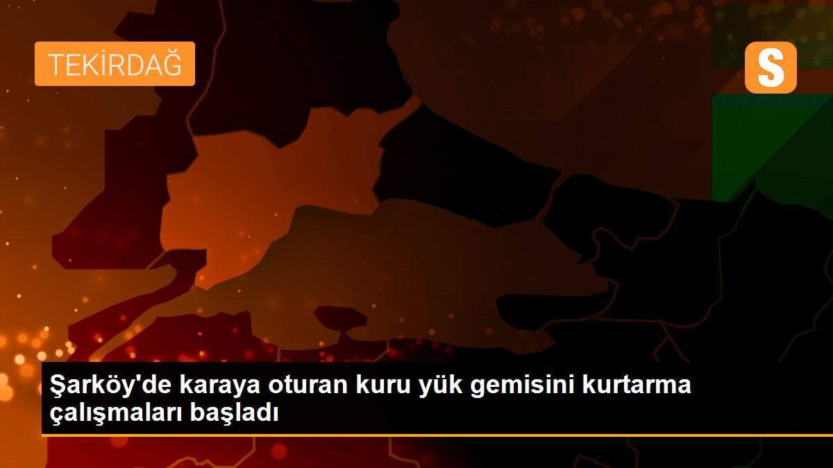 Şarköy\'de karaya oturan kuru yük gemisini kurtarma çalışmaları başladı
