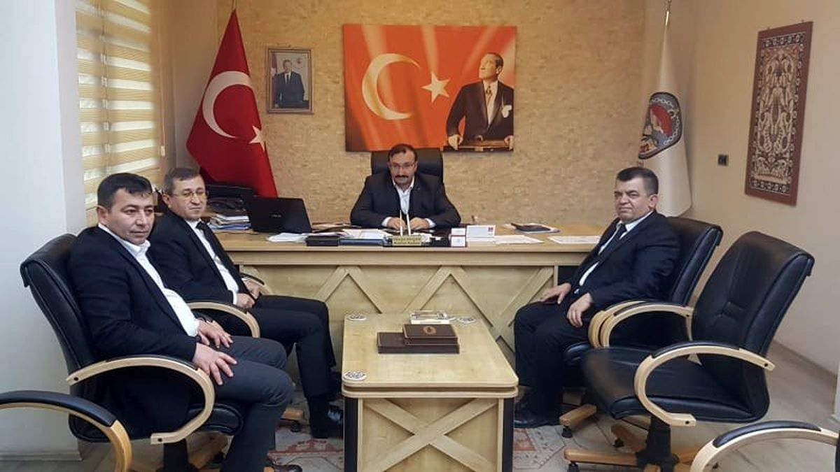 Sokak hayvanları için yaşam alanı