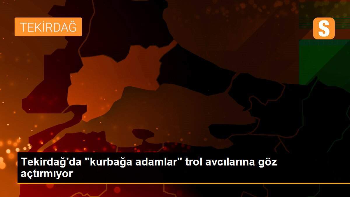 Tekirdağ\'da "kurbağa adamlar" trol avcılarına göz açtırmıyor