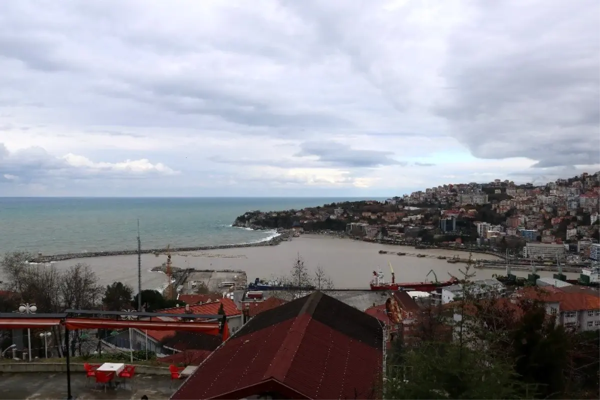 Zonguldak Limanı sarıya boyandı