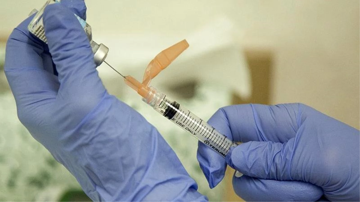 Almanya, Nazilerin biyolojik silah ürettiği adada virüslere karşı aşı geliştiriyor