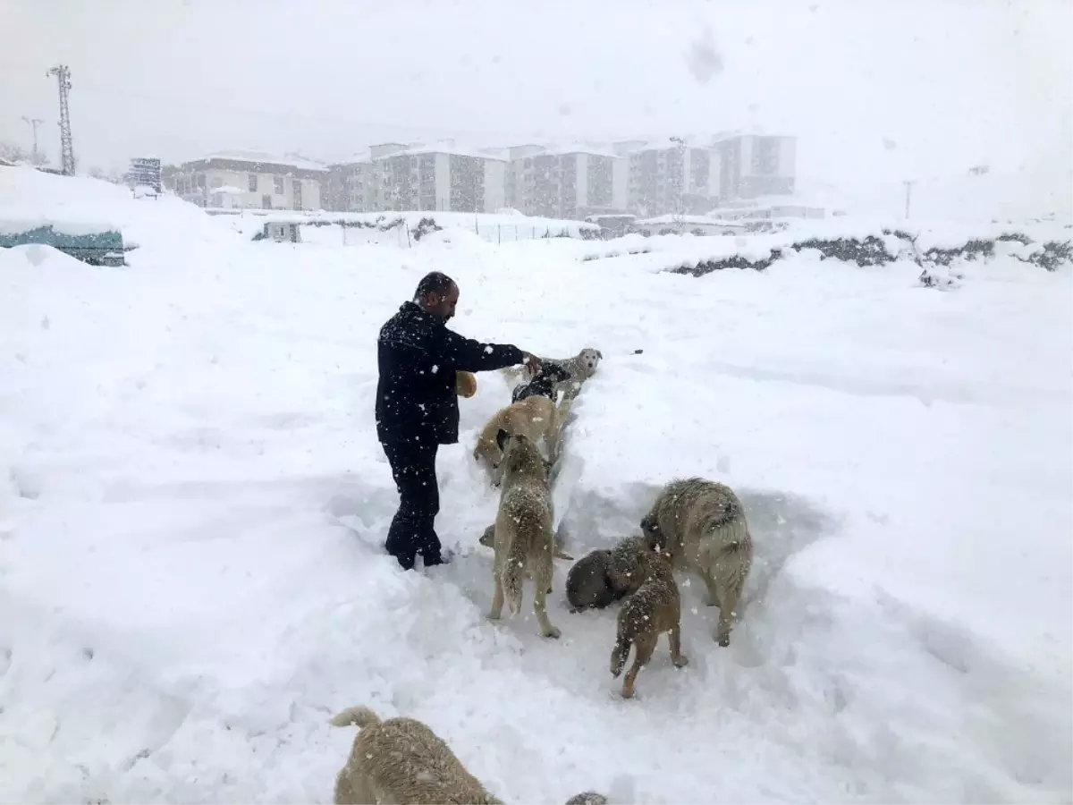 Yüksekovalı duyarlı vatandaştan örnek davranış