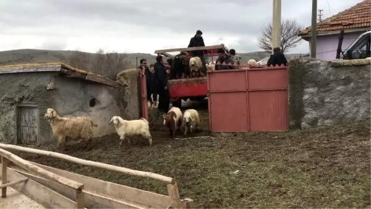 Ahır yangınında hayvanları telef olan çiftçiye küçükbaş desteği