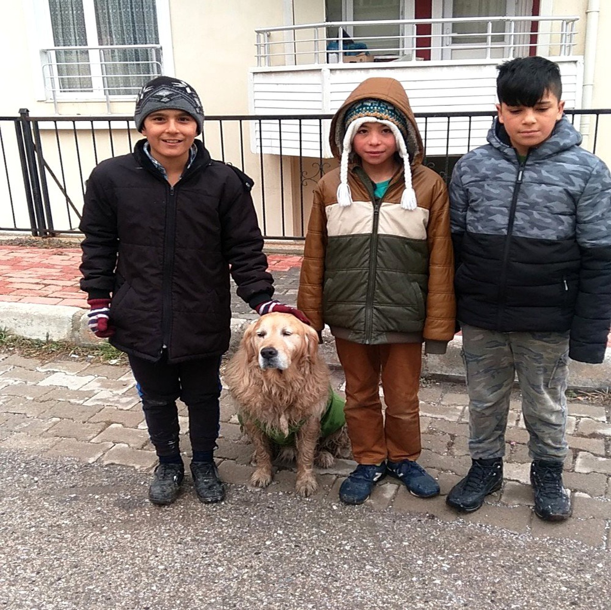 Çocuklar sokak köpeğine üşümesin diye tişört giydirdi