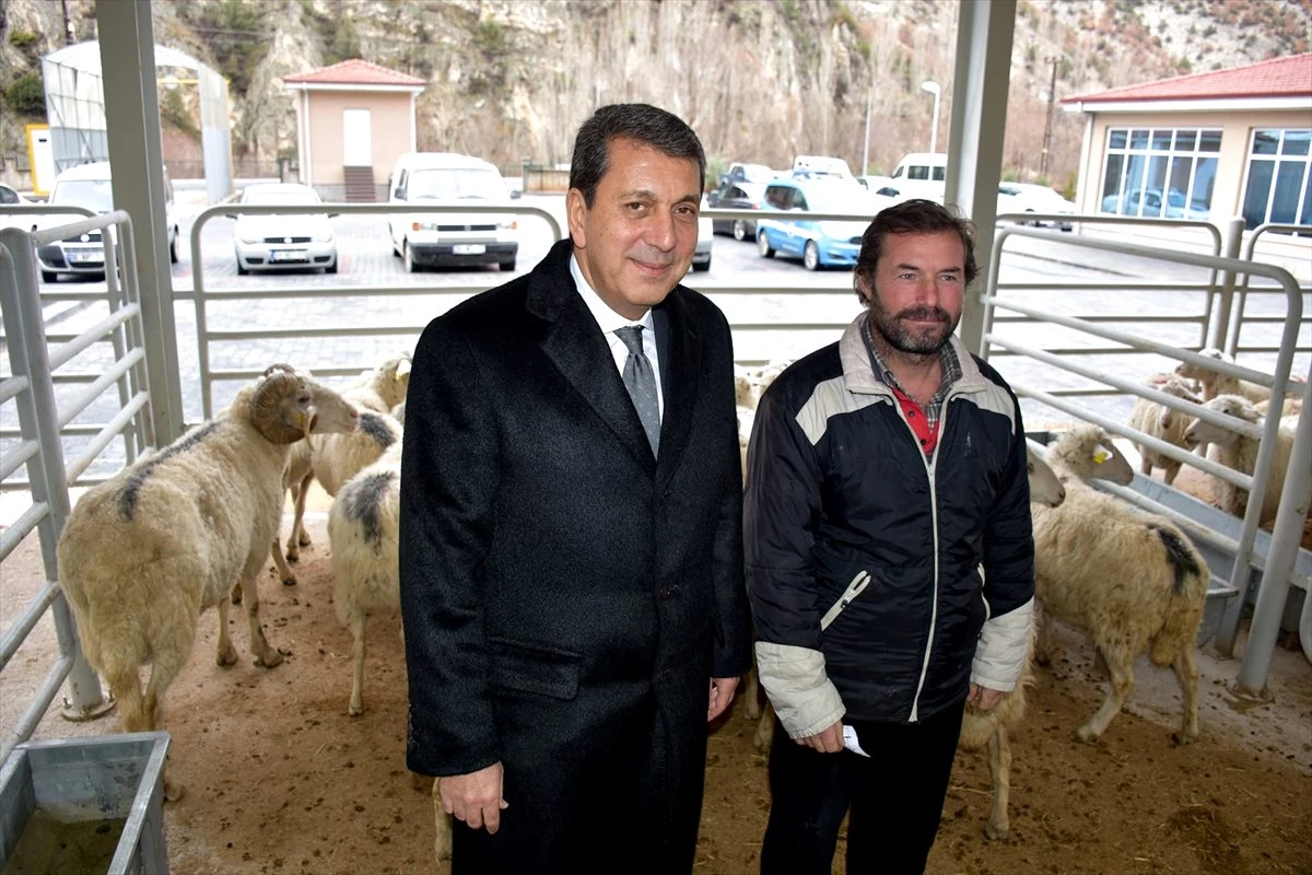 Nallıhan Belediye Başkanı İsmail Öntaş: "Kırsalda küçükbaş hayvancılığı desteklemeye çalışıyoruz"