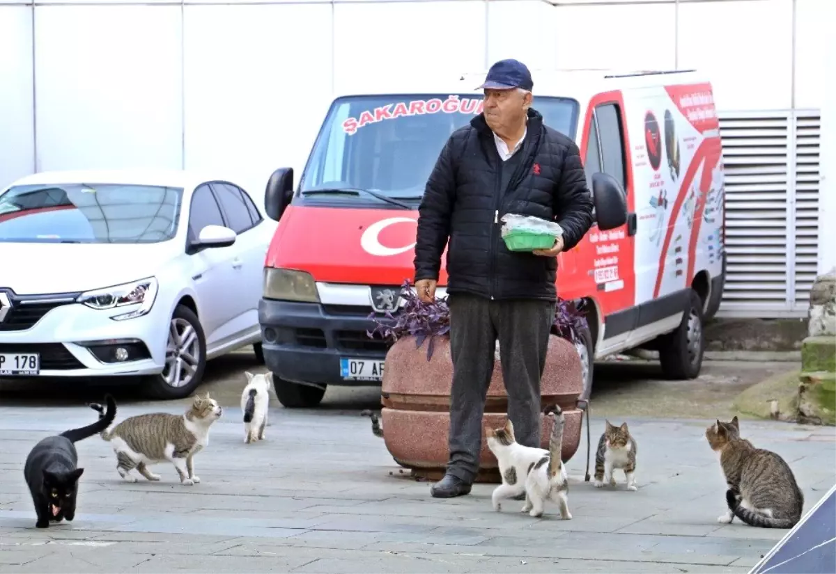 Onu gören kedi ve köpekler esas duruşa geçiyor