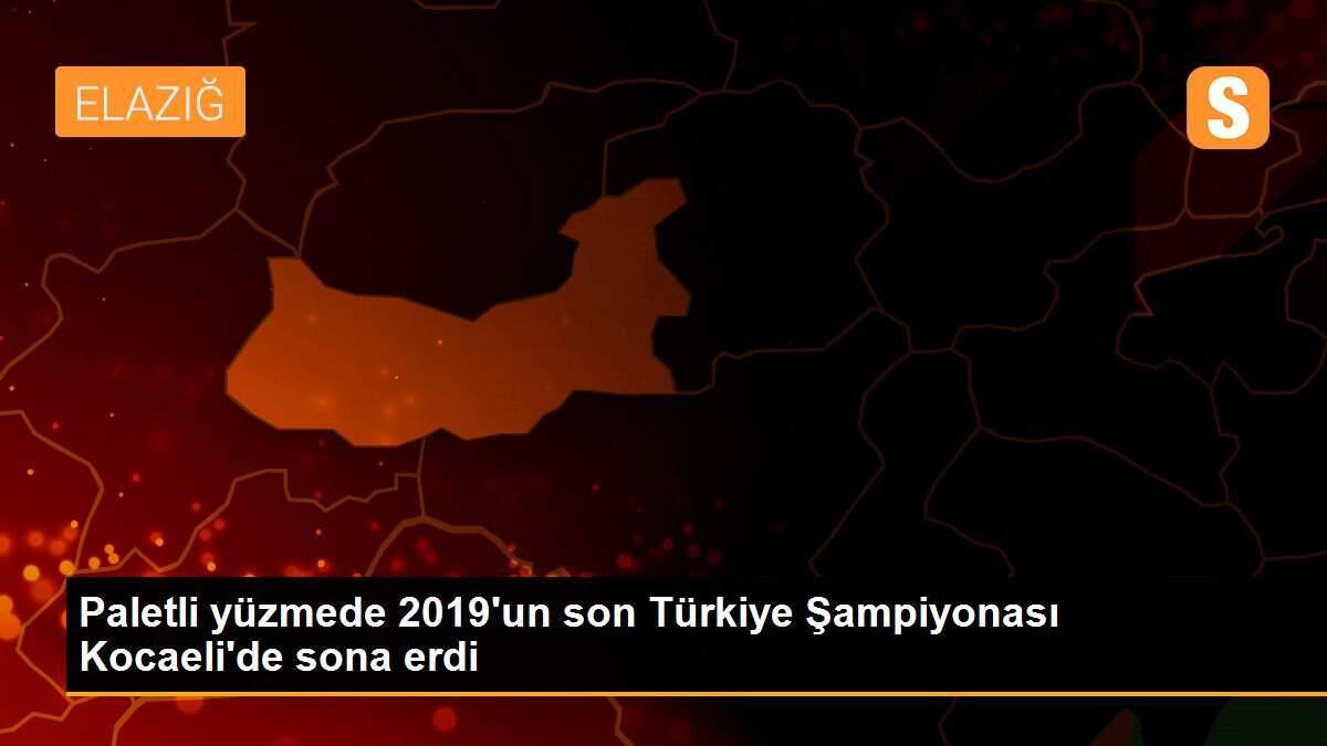 Paletli yüzmede 2019\'un son Türkiye Şampiyonası Kocaeli\'de sona erdi