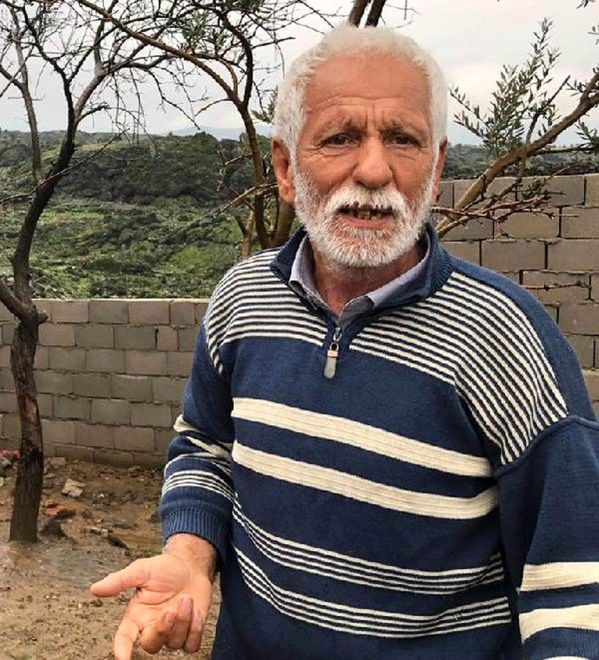 Zehirlendiği öne sürülen köpeğin görüntüleri, tepki çekti (3)