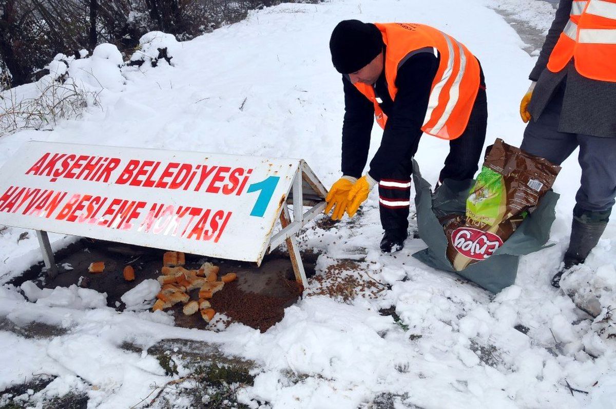 Akşehir Belediyesi hayvanları unutmadı