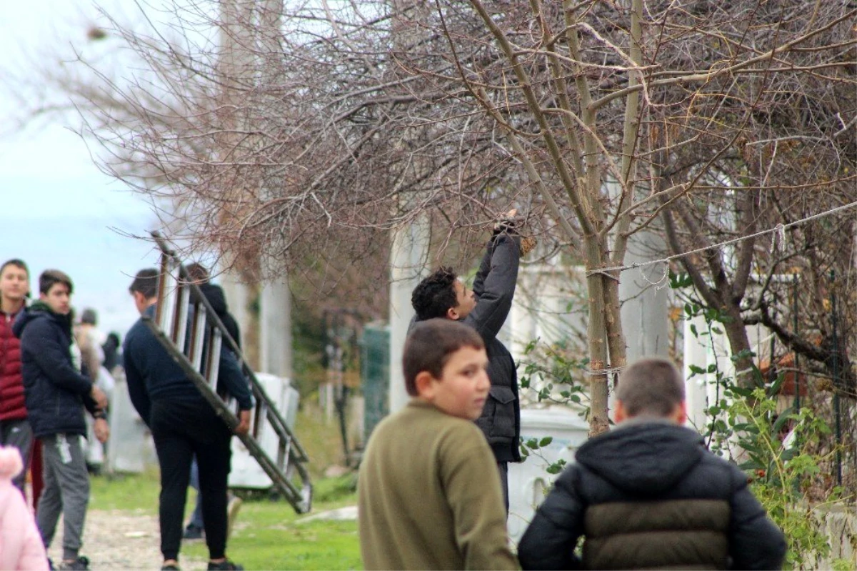 Çanakkaleli öğrenciler kuşlar için 50 yuva yaptı, onlarca yemlik hazırladı