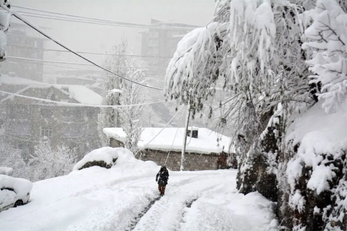 Hakkari\'de 11 yerleşim yerinin yolu ulaşıma kapandı