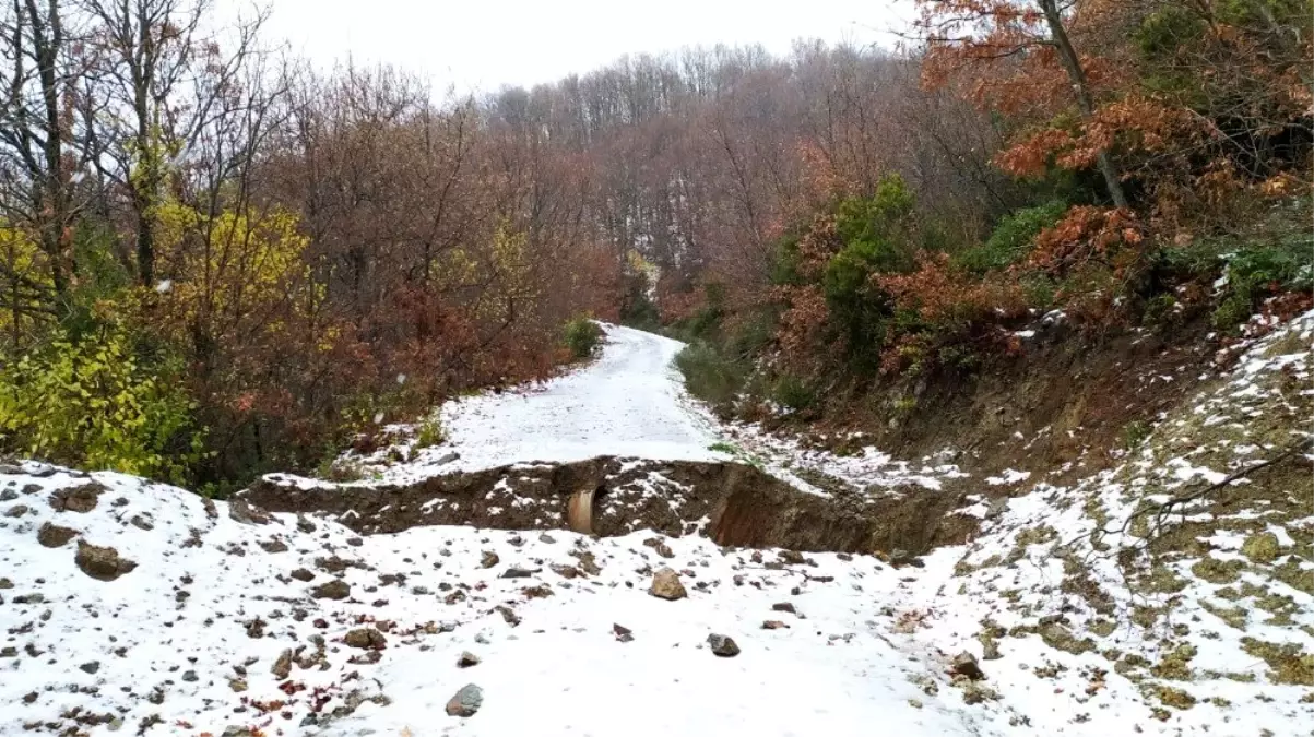 Kapıdağ\'a yılın ilk karı yağdı