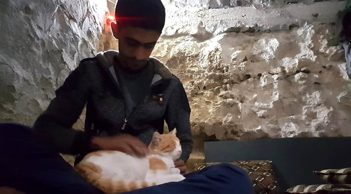 Suriye\'nin insanları göçüp kedileri kalan kasabası: Kefr Nebil
