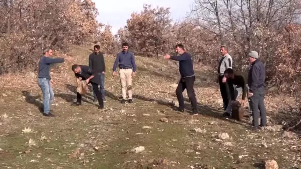 Muş\'ta eski oyunlar köylerde yeniden hayat buluyor