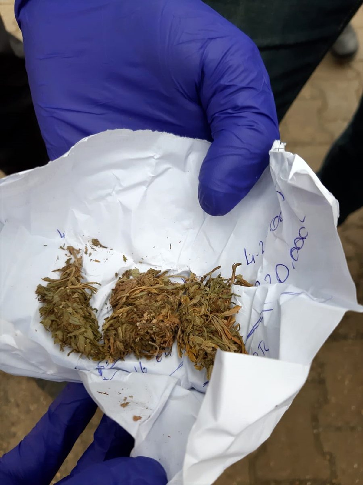 Narkotik köpeği sürücünün ayakkabısında uyuşturucu buldu